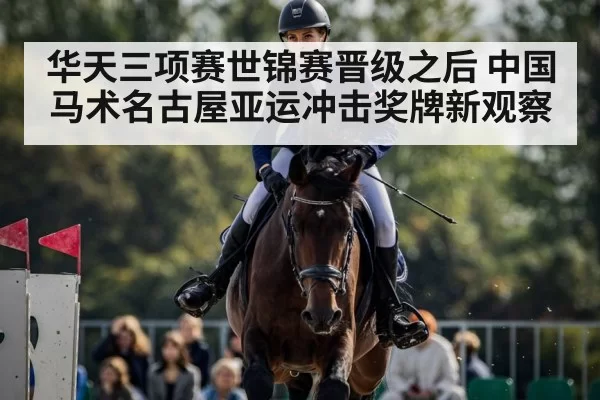 horse show jumping competition