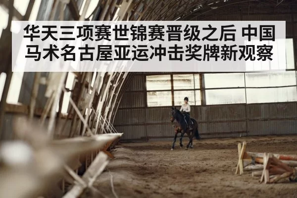 dressage horse and rider arena